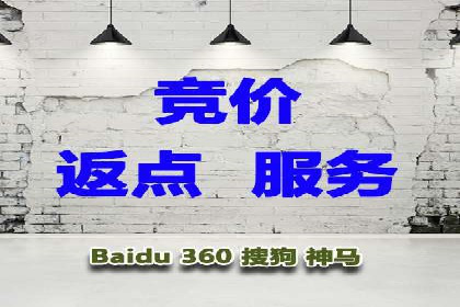 社交平台信息流广告推广的典型案例分析